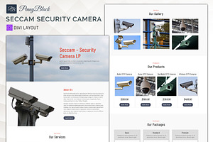 Security Camera Services Divi Layout