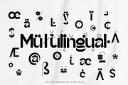 Pinfong Typeface, a Serif Font by Alcode (Thumbnail 14 of 20)