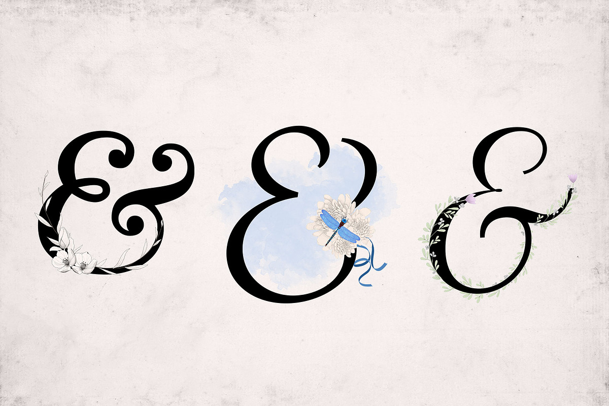 Ornate Ampersands, a Decorative Illustration by Maggie Stilwell Design (Photo 13 of 13)