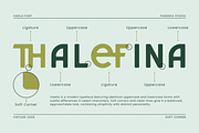 Vaelia - Elegant & Playful Sans, a Sans Serif Font by Pandeka Studio (Thumbnail 7 of 9)