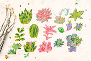 Kids Crayon Succulent Clipart, a Healthcare Illustration by Lucyinyourheart (Thumbnail 4 of 6)