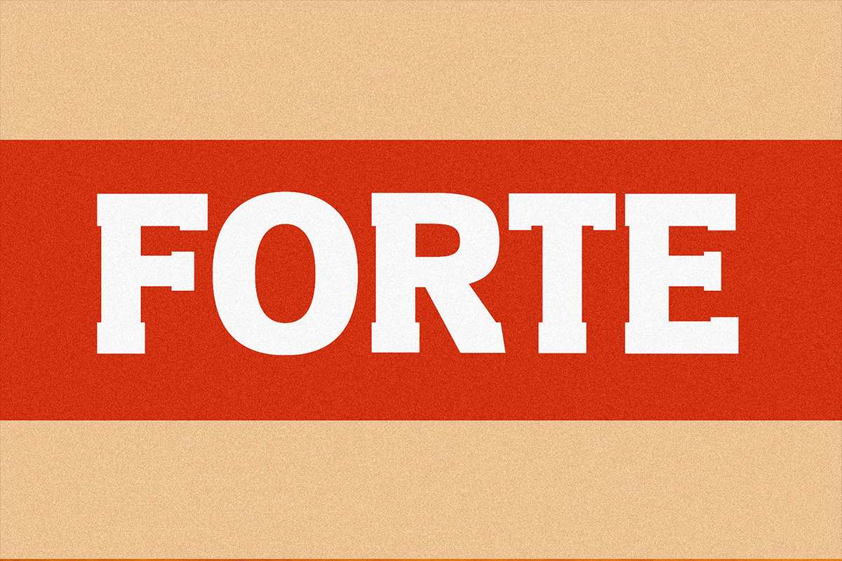 Slab Forte - Vintage Font, a Slab Serif Font by vladocar (Photo 16 of 16)