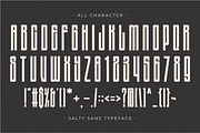 Salty Sans - Condensed Sans Serif, a Sans Serif Font by Pian45 Studio (Thumbnail 7 of 8)