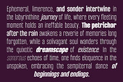 Bondia - Condensed Family, a Sans Serif Font by Arterfak Project (Thumbnail 13 of 15)