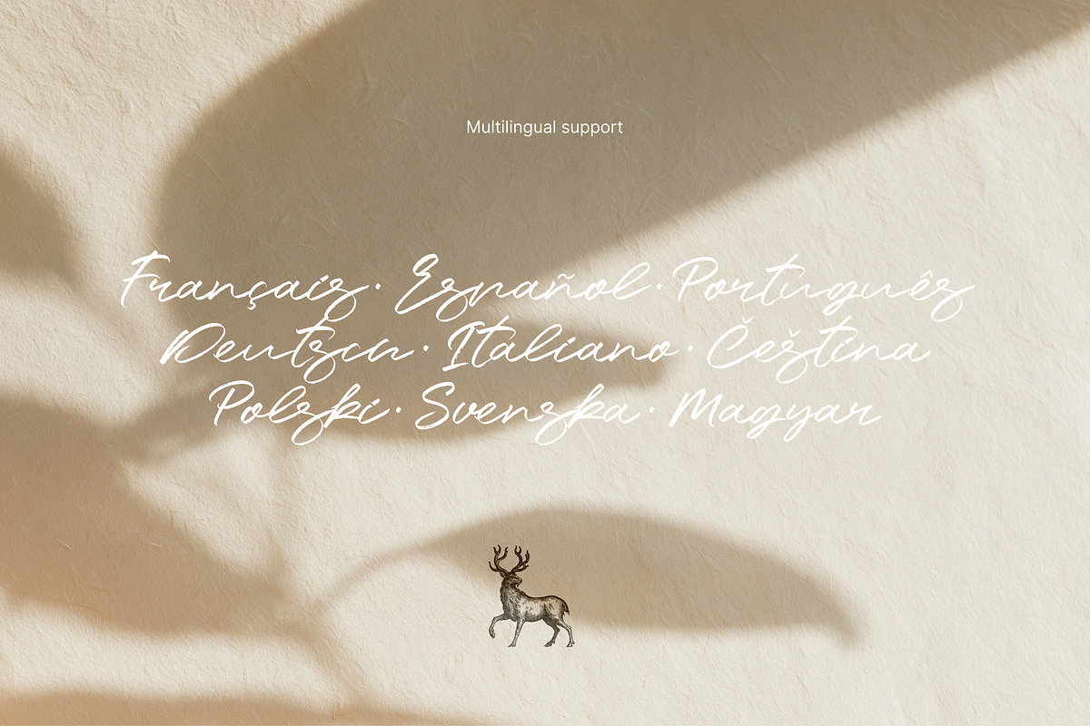 Rawwelle Handwritten Script, a Handwritten Font by kavoon (Photo 5 of 11)
