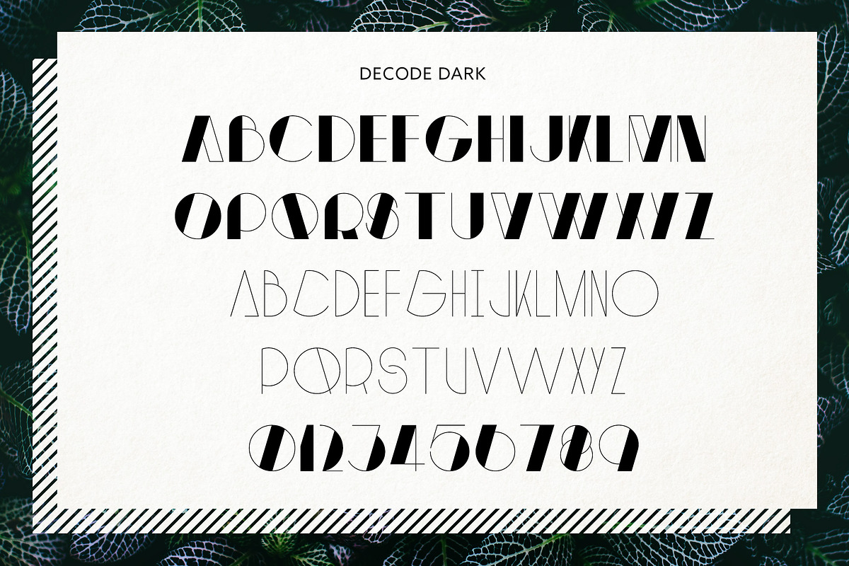 Decode Family preview 4