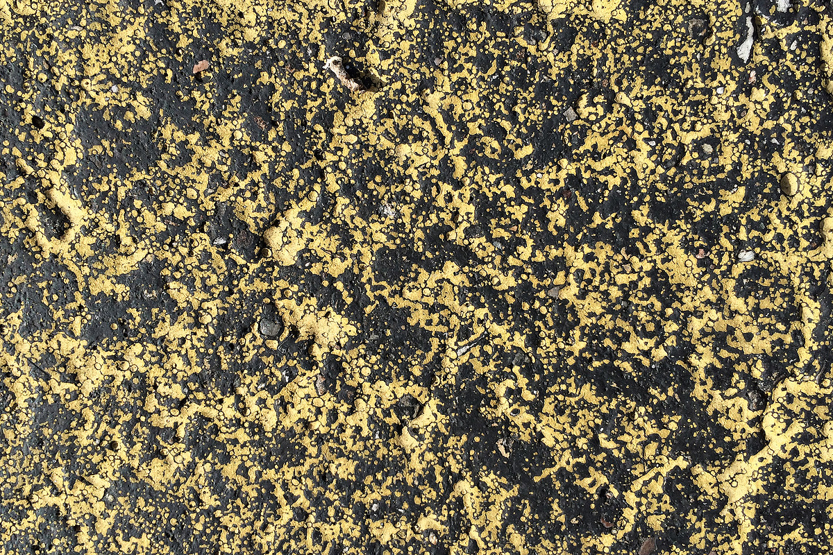 The Shop | Asphalt markings textures vol. 01 preview 8