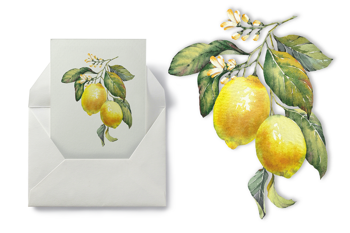 Lemon Garden Watercolor Cliparts, a Decorative Illustration by Jeanna Draw (Photo 8 of 11)