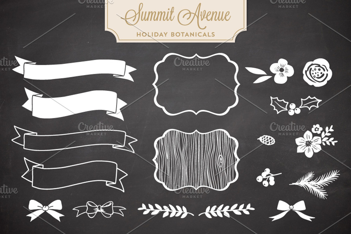 Holiday Botanical Vectors, an Illustration by Summit Avenue (Photo 4 of 4)
