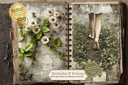 Herbalist Junk Journal Kit, a Seasonal Illustration by Nicole Branger Art (Thumbnail 5 of 14)