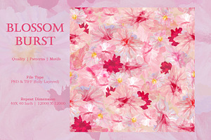 Blossom Burst Pattern & Motifs