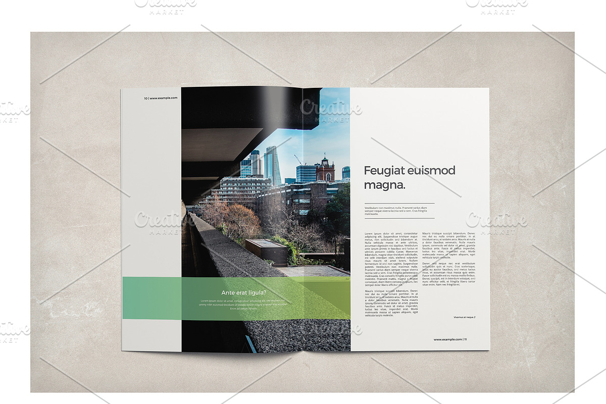 Multipurpose Business Brochure, a Brochure Template by ShapShapy (Photo 10 of 20)