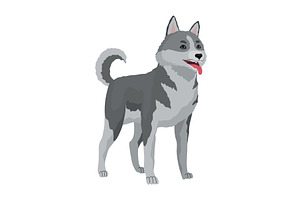 Cute gray wolf pose. Cartoon, an Animal Illustration by the8monkey
