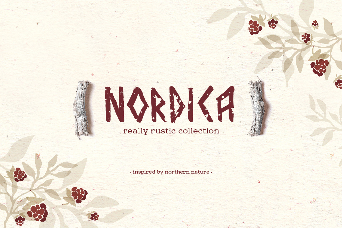 Nordica - Rustic Collection, an Animal Illustration by Elena Paletskaya (Photo 1 of 8)