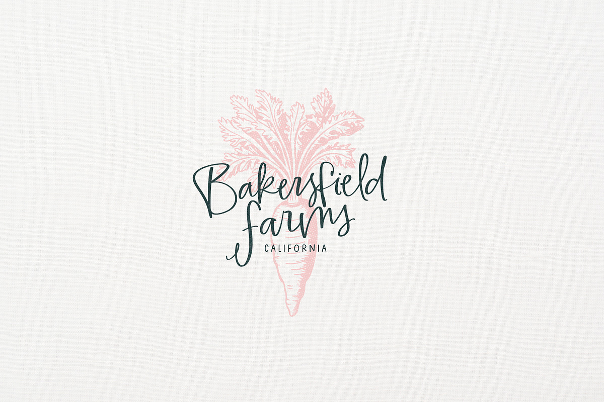 American Honey | Script & Sans, a Font by Callie Rian & Co. (Photo 4 of 27)