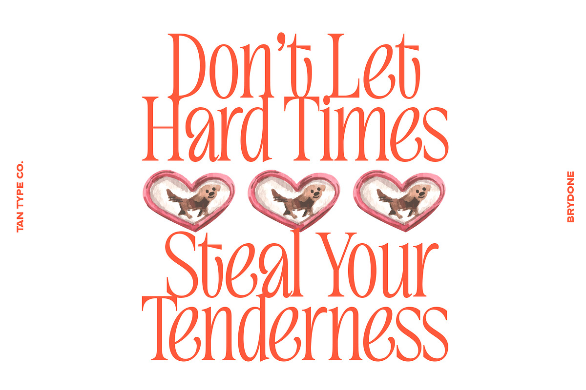 TAN-BRYDONE, a Font by TanType (Photo 9 of 16)