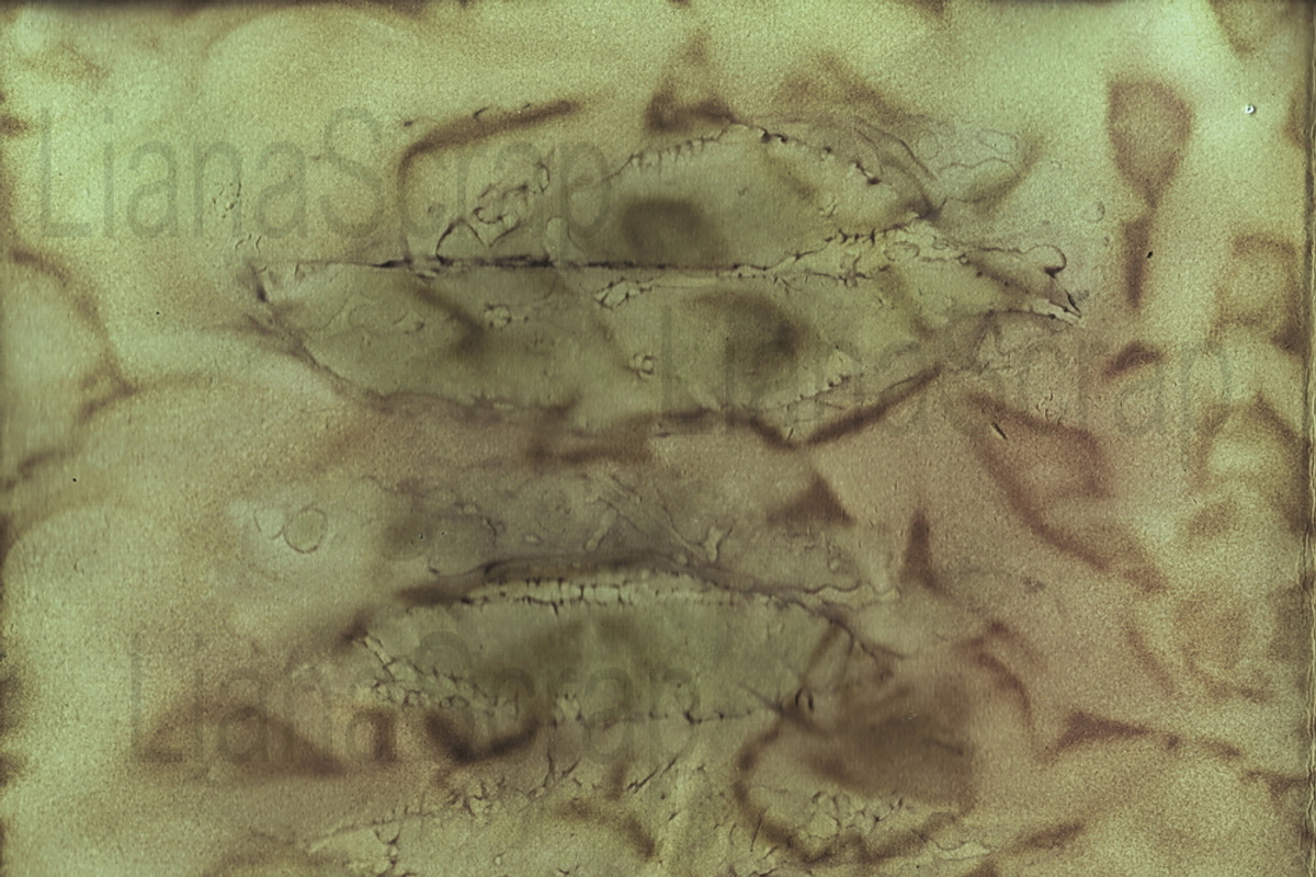 36 ECO Dyed paper - Forest Floor, a Texture Graphic by LianaScrap (Photo 6 of 19)
