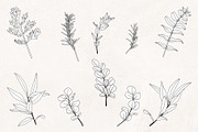 Floral Line Art SVG Botanical Frames, an Illustration by PawGraphic (Thumbnail 3 of 10)