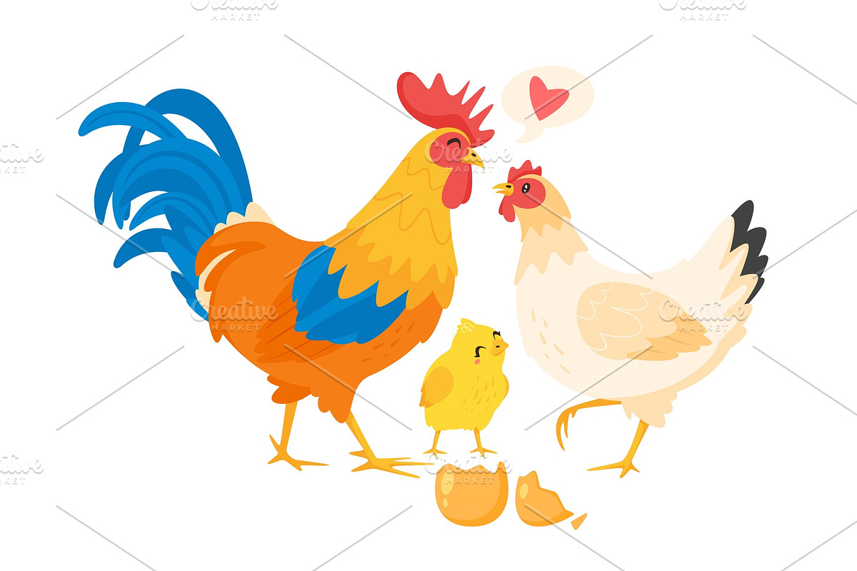Chicken family: hen, rooster, an Animal Illustration by Cartoon time!
