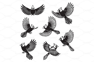Cardinal bird silhouettes in various, an Animal Illustration by yod67