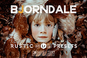 Bjorndale Presets - Desktop & Mobile, an Action Add-On by Presetrain Co. (Thumbnail 1 of 9)