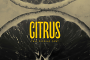 Citrus Tall Font, a Handwritten Font by gafaroff studio (Thumbnail 1 of 5)