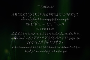 Bellaria Script