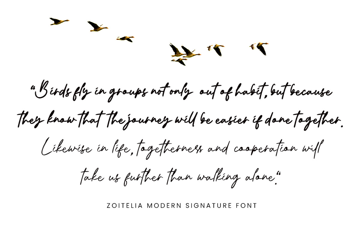 Zoitelia - Modern Signature Font, a Script Font by Megatype (Photo 4 of 11)