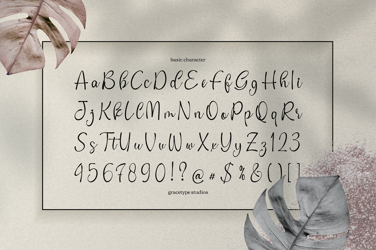 Cafricot Lissendra Script, a Script Font by gracetype_studio (Photo 10 of 12)