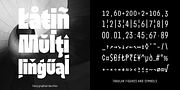 Nerissimo, a Sans Serif Font by Synthview Type Design (Thumbnail 9 of 10)