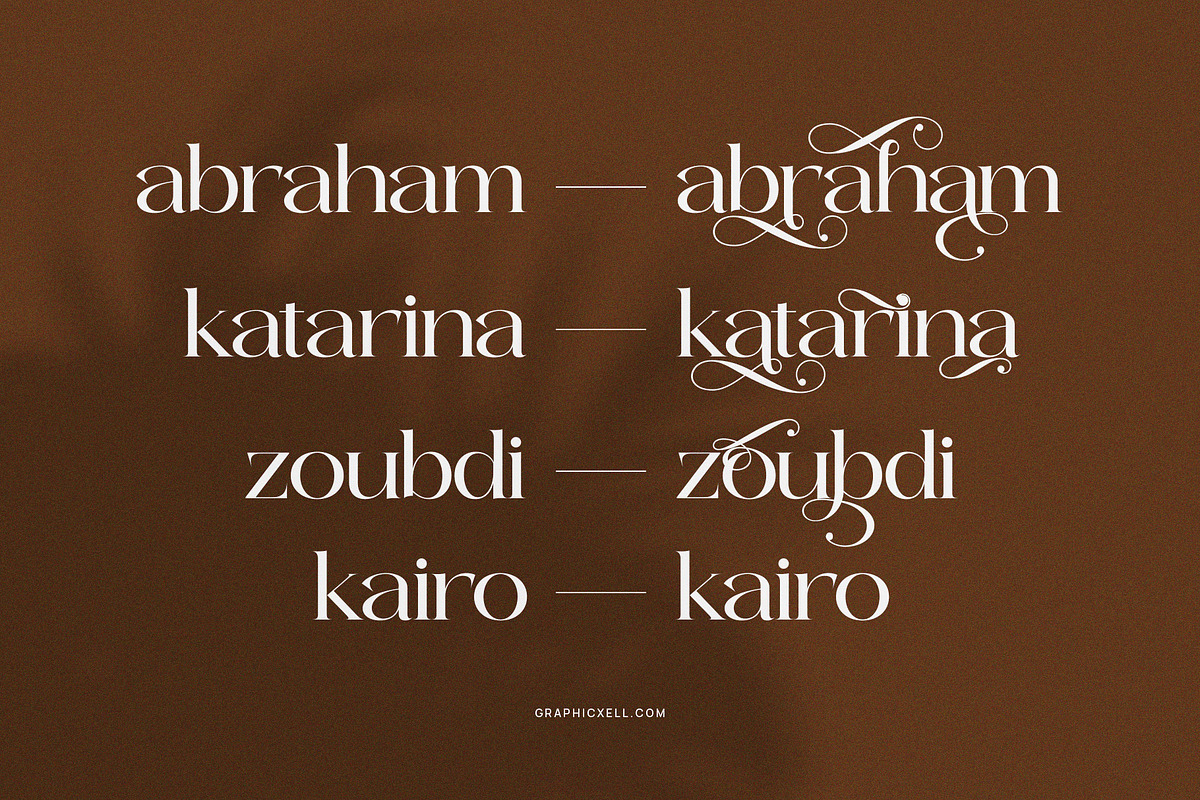 Voting Calligraphy Serif Font, a Serif Font by Graphicxell (Photo 4 of 9)