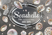 Seashells & Pearls PNG Collection, an Object Graphic by Olha Kostiuk (Thumbnail 1 of 5)