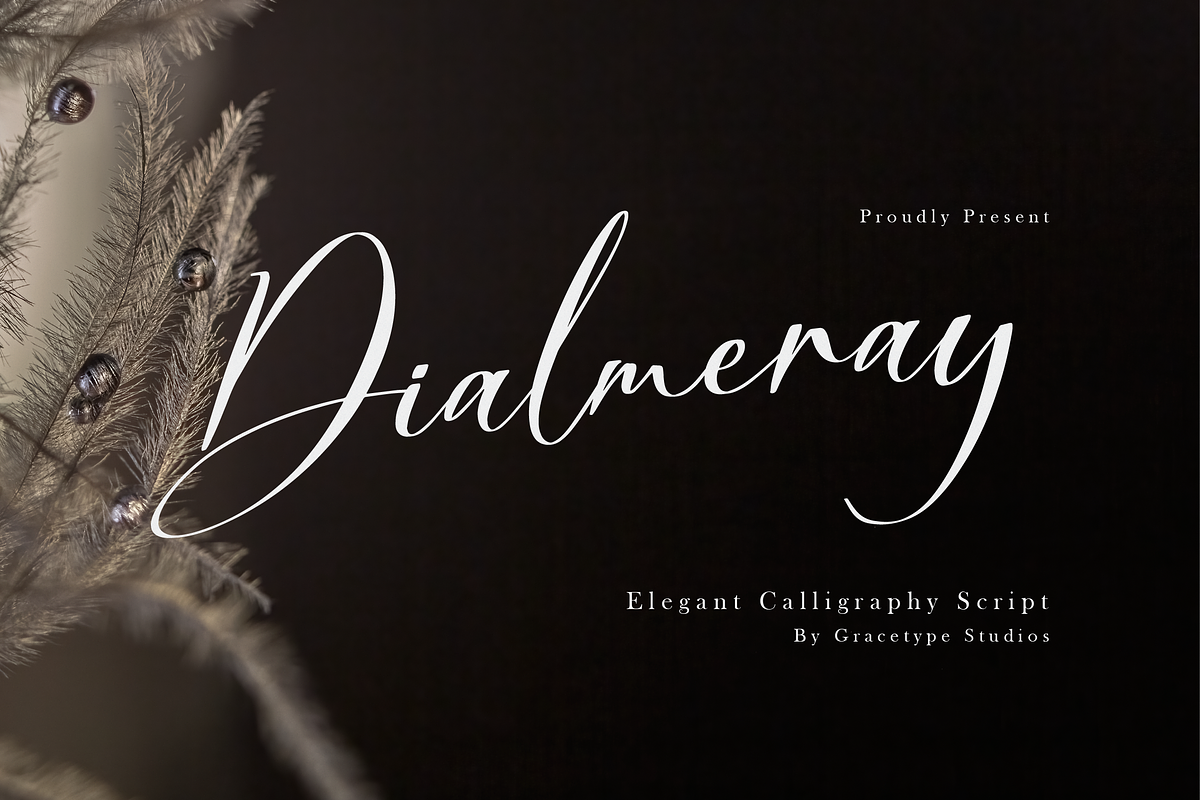 Dialmeray | Elegant Calligraphy Scri, a Script Font by gracetype_studio (Photo 1 of 12)