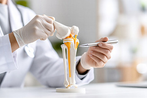 Doctor and human knee joint model, a Health & Medical Photo by 7DesignLab