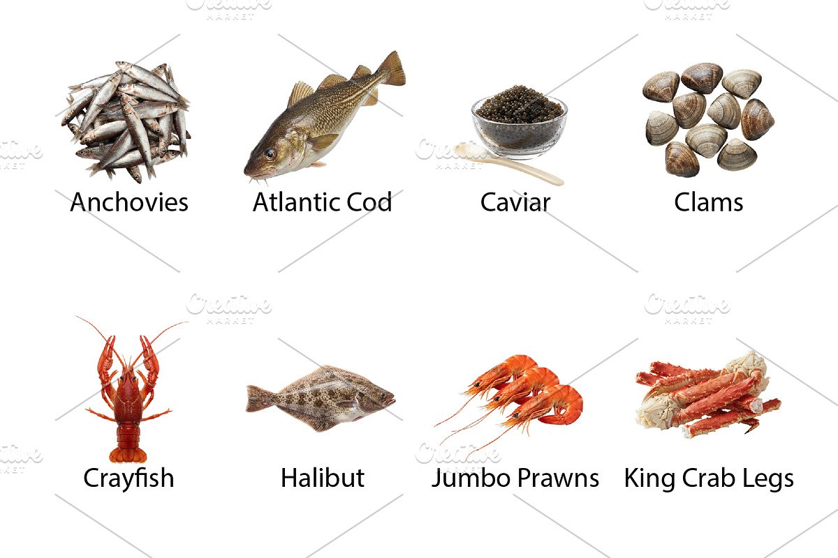 Fresh Catch Seafood & Fish -PNG, an Object Graphic by Nurlan's shop (Photo 3 of 5)