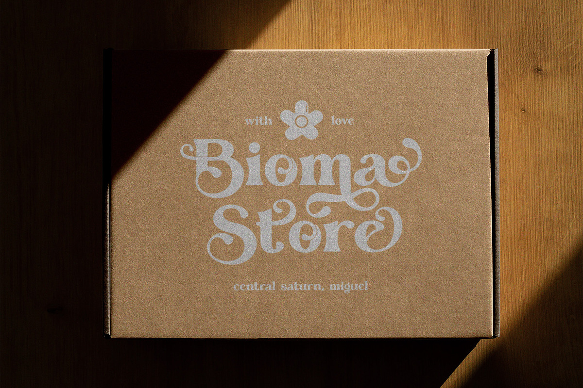 Dake Roile Elegant Serif Font, a Serif Font by Perfectype (Photo 7 of 8)