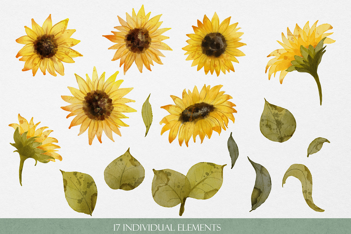 Sunflowers Watercolor Illustrations, an Object Graphic by Graphic Soul (Photo 2 of 3)