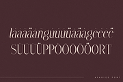 Avarice - serif typeface | 4 fonts, a Serif Font by Only Fonts (Thumbnail 9 of 10)