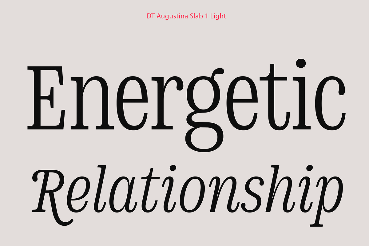 DT Augustina Slab 1 Subfamily, a Slab Serif Font by Deveze Type Foundry (Photo 5 of 31)