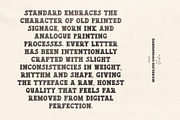 Standard | Hand Made Slab Serif Font, a Slab Serif Font by Madeline ODonoghue Design (Thumbnail 9 of 9)