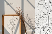 FineLine Floral Stamps for Procreate, a Brush Add-On by CaraulanStore (Thumbnail 9 of 9)