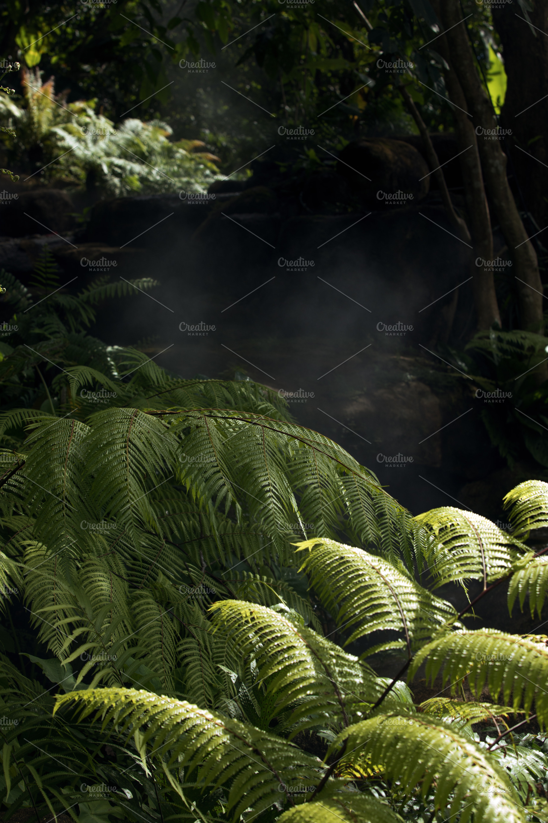 jungle fragment, a Background Photo by dmitryersler