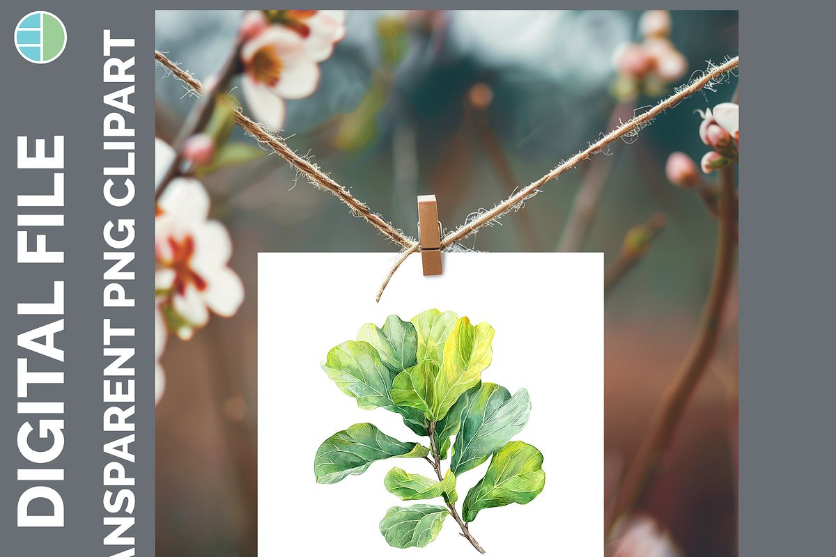 Houseplant Illustration Bundle, PNG, a Decorative Illustration by Enliven Designs (Photo 7 of 8)