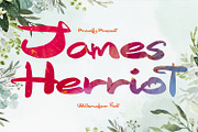 James Herriot Brush Font, a Script Font by 177Studio (Thumbnail 1 of 7)