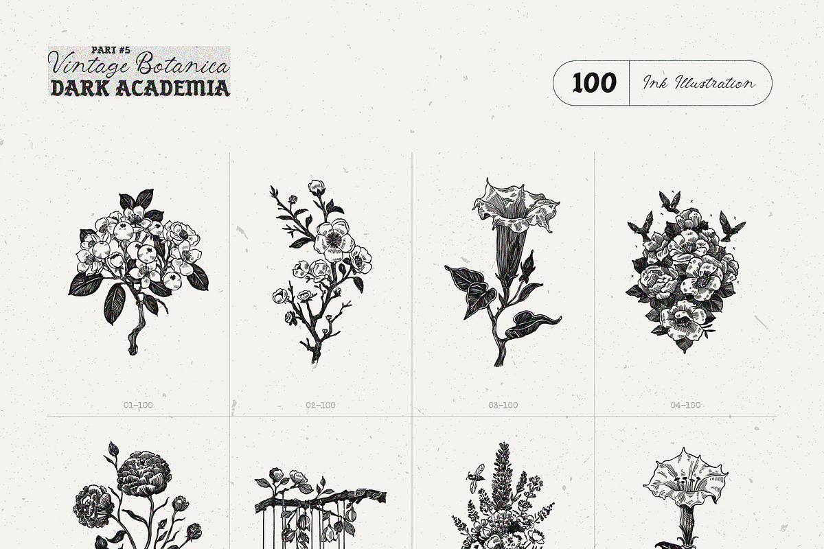 Dark Academia Flora | Illustration, an Object Graphic by KetteCreate (Photo 4 of 14)