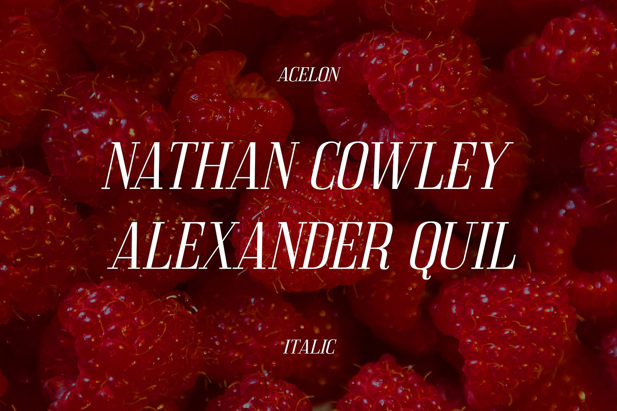 Acelon – Condensed Serif, a Sans Serif Font by Craft Supply Co. (Photo 4 of 8)