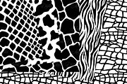 Black and White Animal Prints, a Texture Graphic by Avenie Digital (Thumbnail 4 of 4)