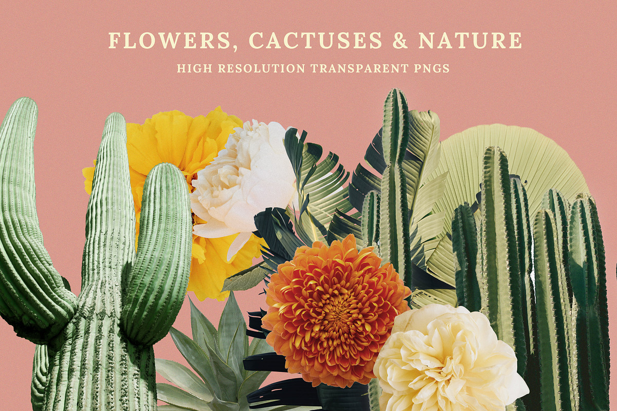 Viva Mexico Collage Creator, a Graphic by Paper Flowers Studio (Photo 4 of 8)