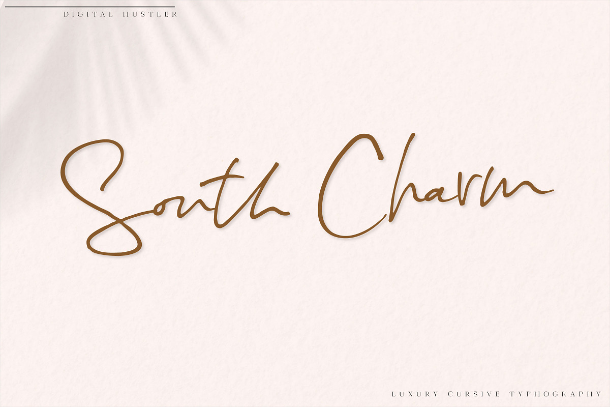 South Charm Font, a Script Font by Digital Hustler (Photo 11 of 12)