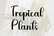 September Rain, a Handwritten Font by FreshTypeINK (Thumbnail 3 of 8)